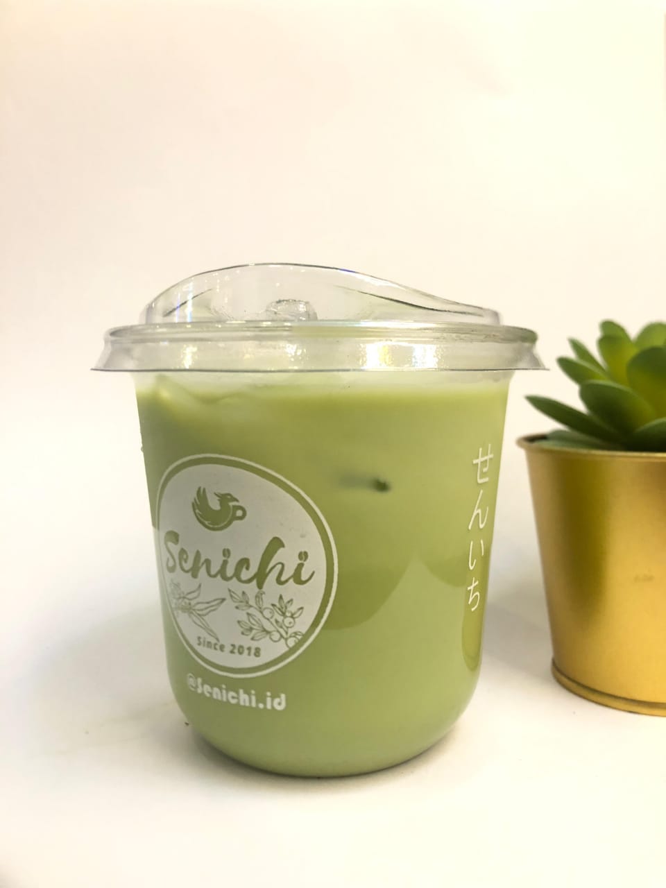 GREENTEA LATTE 250 ML